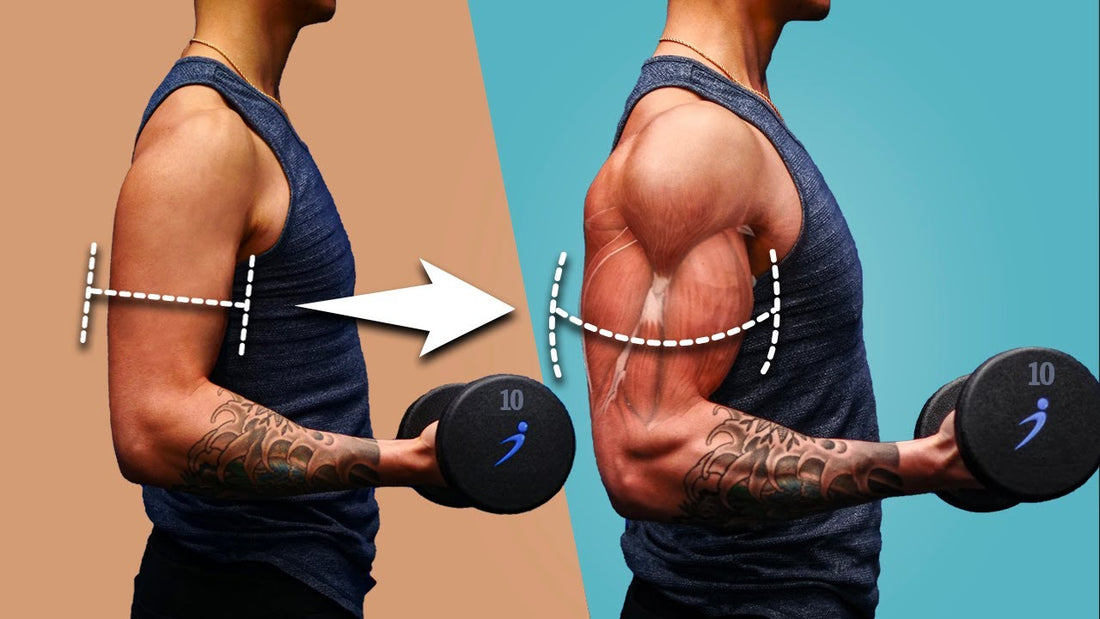 The Fastest Way to Grow Your Biceps